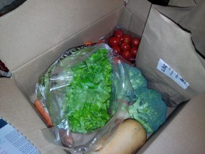 veggie box